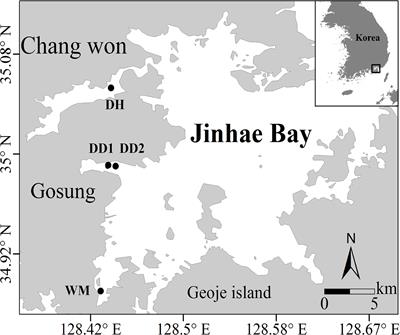 Weak Hypoxia Enhanced Denitrification in a Dissimilatory Nitrate Reduction to Ammonium (DNRA)-Dominated Shallow and Eutrophic Coastal Waterbody, Jinhae Bay, South Korea